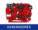 generadores-equipsa.fw